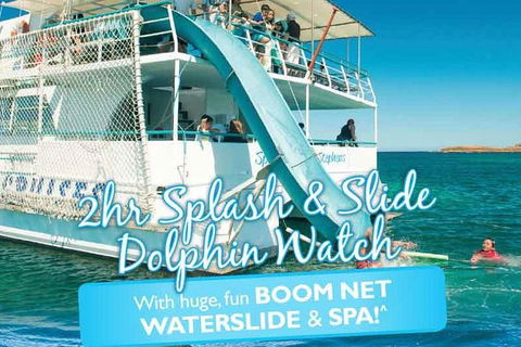 Port Stephens Dolphin Watching Cruise Including Splash And Slide - Tourism Guide 0
