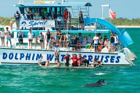 Port Stephens Dolphin Watching Cruise Including Splash And Slide - Tourism Guide 1
