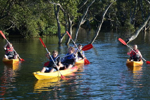 Kayak And SUP Guided Tours - Tourism Guide 0