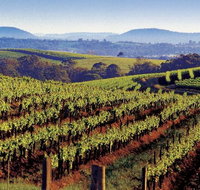 Private Day Trip to Hunter Valley from Sydney with Pickup - Tourism Guide