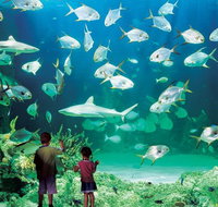 Sydney Pass SEA LIFE Aquarium Sydney Tower Eye WILD LIFE Sydney Sydney Harbour Cruise and Madame Tussauds - Tourism Guide