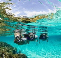 Sydney 3-Hour Snorkeling Tour - Tourism Guide