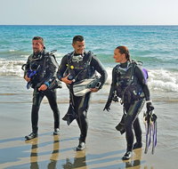 Sydney Guided Shore Dive - Tourism Guide