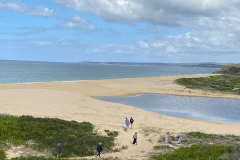 The Eurobodalla Experience (Full Day Private Tour Including Lunch) - Tourism Guide 19