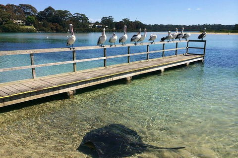 The Eurobodalla Experience (Full Day Private Tour Including Lunch) - Tourism Guide 2