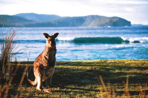 The Eurobodalla Experience (Full Day Private Tour Including Lunch) - Tourism Guide 7