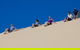 Port Stephens Day Tour From Sydney Including 4WD, Sandboarding And Dolphins - thumb 1