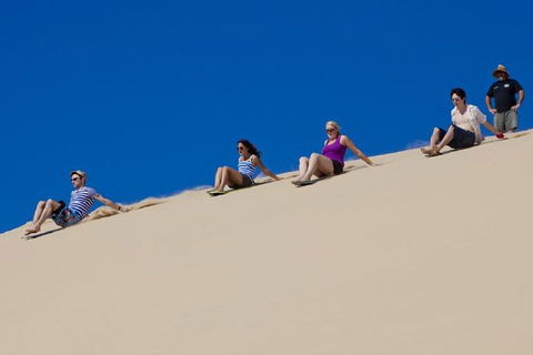 Port Stephens Day Tour From Sydney Including 4WD, Sandboarding And Dolphins - Cruises Travel 1