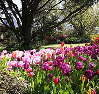 Spring Gardens in the Blue Mountains Private Tour Limited Time Only - Tourism Guide