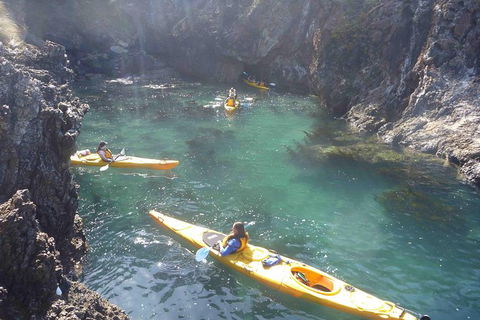 Batemans Bay Full Day Sea Kayak Tour With Beach Picnic Lunch - Tourism Guide 5