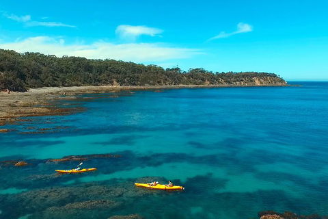 Batemans Bay Full Day Sea Kayak Tour With Beach Picnic Lunch - Tourism Guide 7