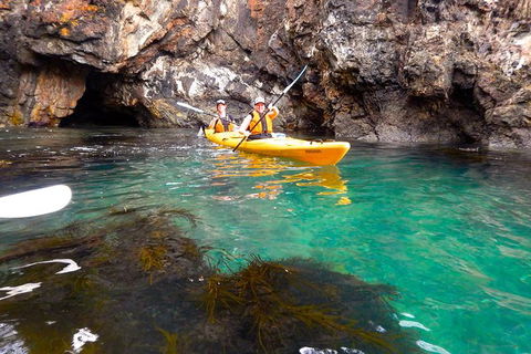 Batemans Bay Full Day Sea Kayak Tour With Beach Picnic Lunch - Tourism Guide 2