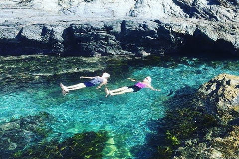 Batemans Bay Full Day Sea Kayak Tour With Beach Picnic Lunch - Tourism Guide 6