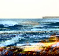 7-Day Byron Bay Evans Head and Moonee Beach Surf Safari from Brisbane Gold Coast or Byron Bay - Travel Agents