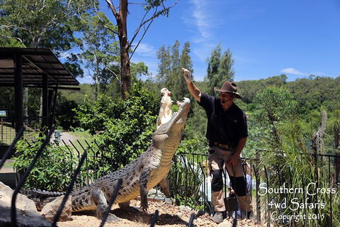 Private Shoalhaven Zoo Experience From Sydney - Tourism Guide 0