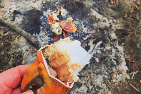 Pot To Plate Adventure - Tourism Guide 4