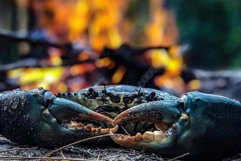 Pot To Plate Adventure - Tourism Guide 11