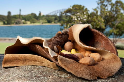 Aboriginal Heritage Tour At The Royal Botanic Garden Sydney - Travel Agents 7
