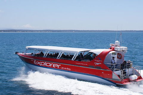 Whale Watching Jervis Bay - Tourism Guide 1