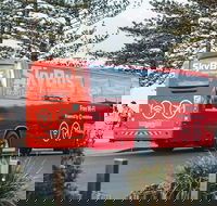 SkyBus Byron Bay Express - Travel Agents