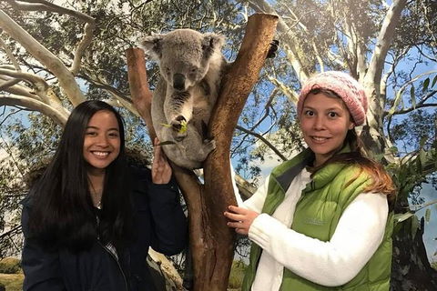 Australia Multi-City Attractions Pass - Tourism Guide 2