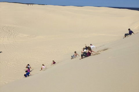 Port Stephens Bush, Beach And Sand Dune 4WD Passenger Tour - Tourism Guide 2