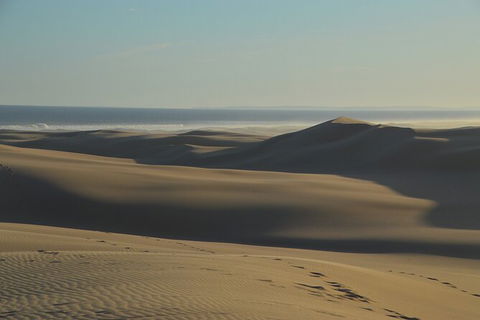 Port Stephens Bush, Beach And Sand Dune 4WD Passenger Tour - Tourism Guide 6