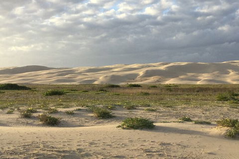 Port Stephens Bush, Beach And Sand Dune 4WD Passenger Tour - Tourism Guide 3
