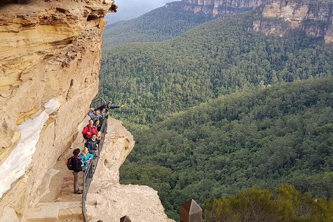 Hike Into The Wild Blue Mountains - Travel Agents 0