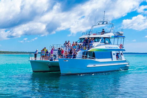 Jervis Bay Whale Watching Tour - Tourism Guide 2