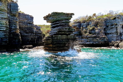 Jervis Bay Passage Tour - Tourism Guide 15