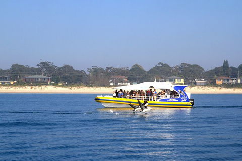 Jervis Bay Passage Tour - Tourism Guide 16
