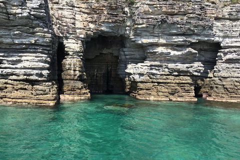 Jervis Bay Passage Tour - Tourism Guide 13
