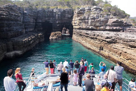 Jervis Bay Passage Tour - Tourism Guide 3