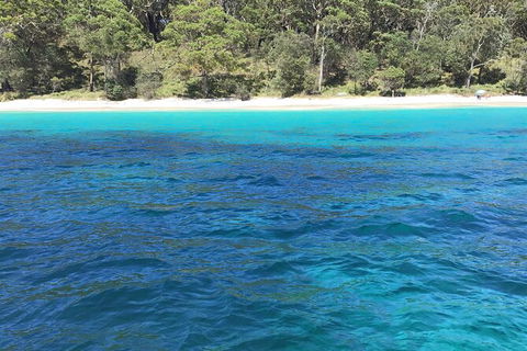 Jervis Bay Passage Tour - Tourism Guide 5