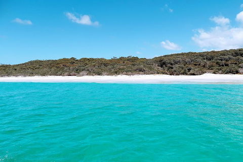 Jervis Bay Passage Tour - Tourism Guide 10