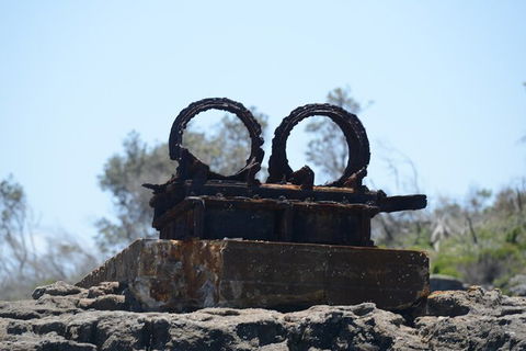 Jervis Bay Passage Tour - Tourism Guide 4