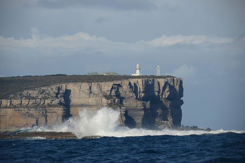 Jervis Bay Passage Tour - Tourism Guide 8