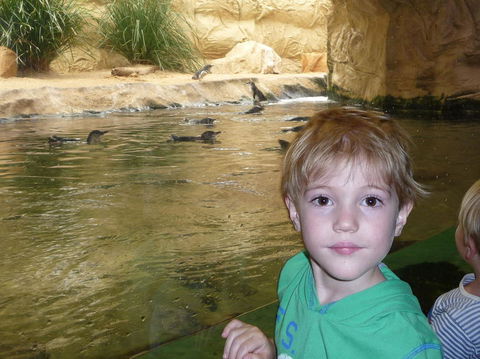WILD LIFE Sydney Entrance Ticket - Tourism Guide 5