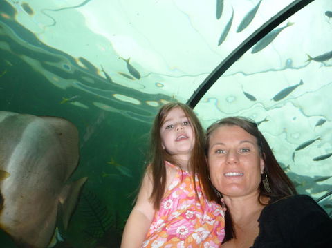 WILD LIFE Sydney Entrance Ticket - Tourism Guide 4