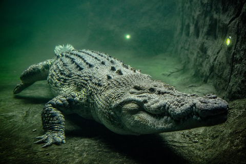 WILD LIFE Sydney Entrance Ticket - Tourism Guide 0