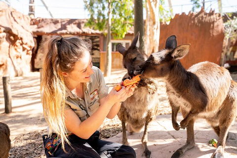 WILD LIFE Sydney Entrance Ticket - Tourism Guide 18
