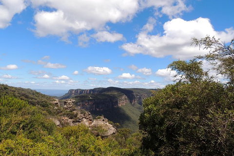 Inside The Greater Blue Mountains World Heritage - A Wildlife Safari Overnight - Tourism Guide 1