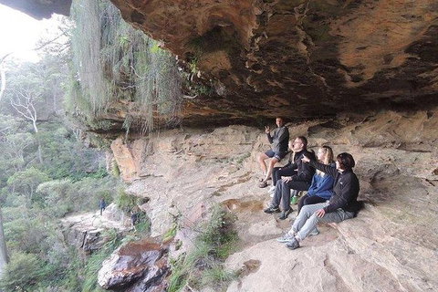 Inside The Greater Blue Mountains World Heritage - A Wildlife Safari Overnight - Tourism Guide 5