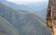 Inside The Greater Blue Mountains World Heritage - A Wildlife Safari Overnight - thumb 29