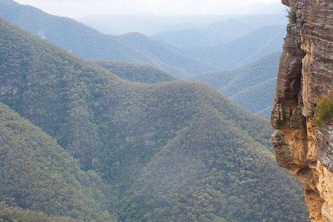 Inside The Greater Blue Mountains World Heritage - A Wildlife Safari Overnight - Tourism Guide 29