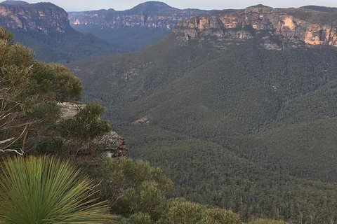 Inside The Greater Blue Mountains World Heritage - A Wildlife Safari Overnight - Tourism Guide 25