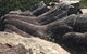 Inside The Greater Blue Mountains World Heritage - A Wildlife Safari Overnight - thumb 17