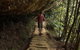 Inside The Greater Blue Mountains World Heritage - A Wildlife Safari Overnight - thumb 26