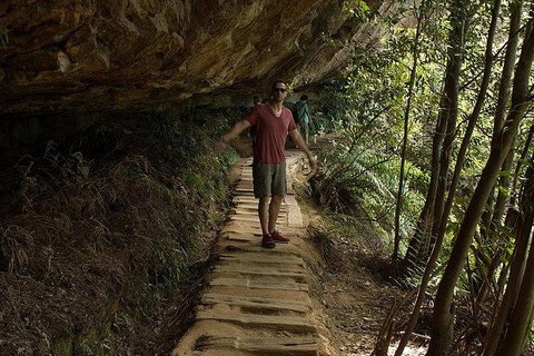 Inside The Greater Blue Mountains World Heritage - A Wildlife Safari Overnight - Tourism Guide 26